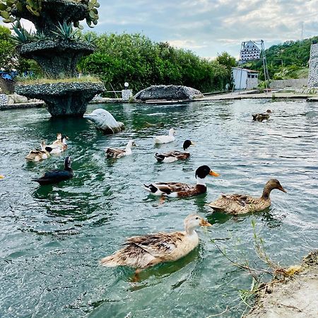 Kompleksi Turistik Dea Mjede ภายนอก รูปภาพ