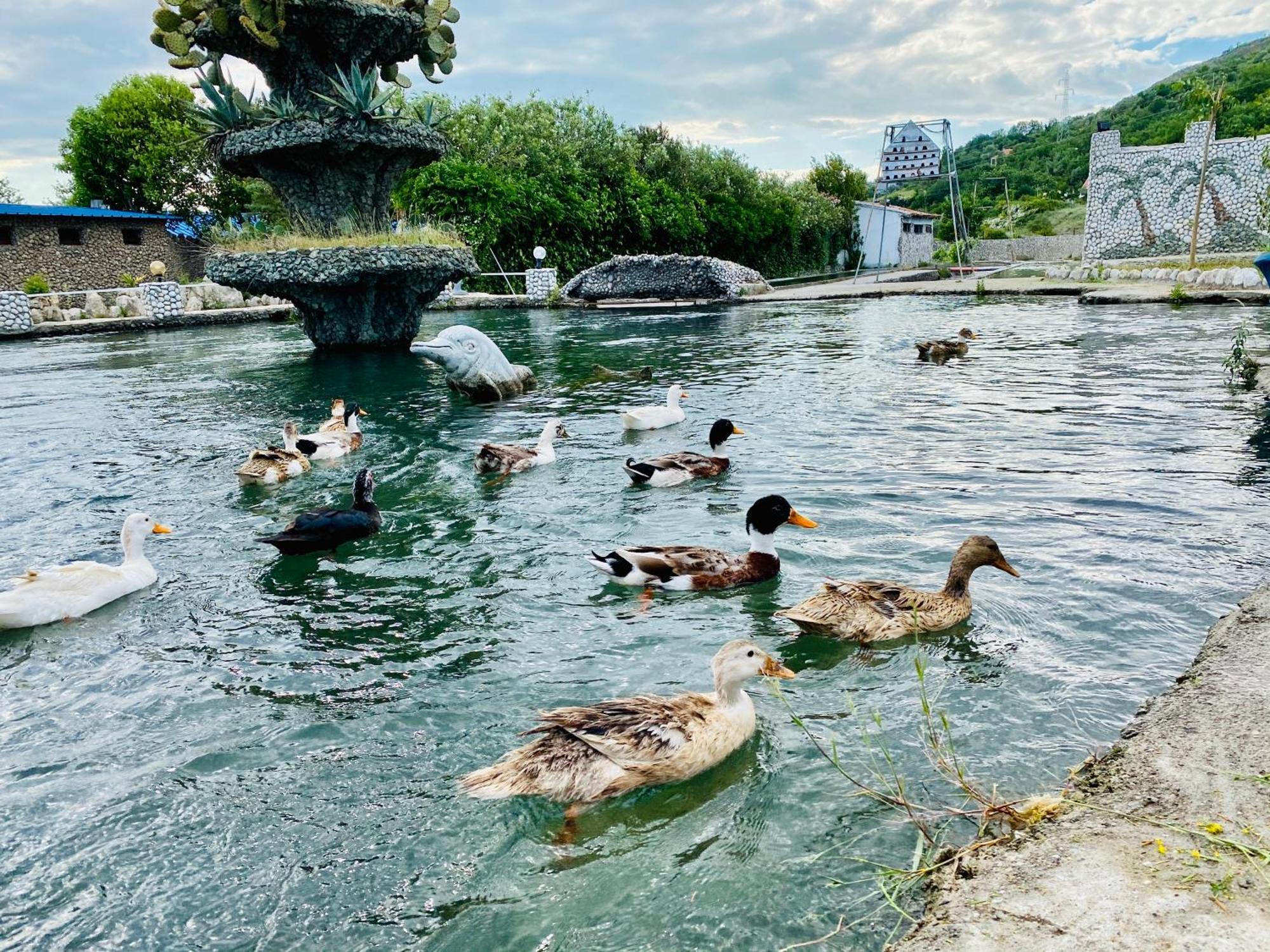 Kompleksi Turistik Dea Mjede ภายนอก รูปภาพ